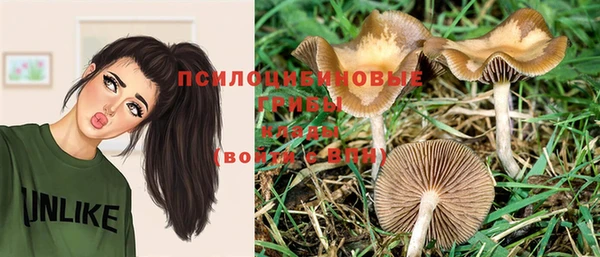 экстази Горнозаводск