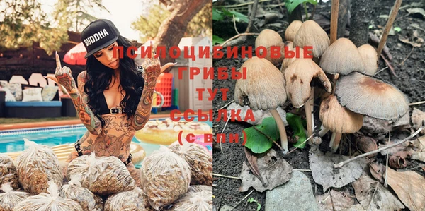 спайс Надым