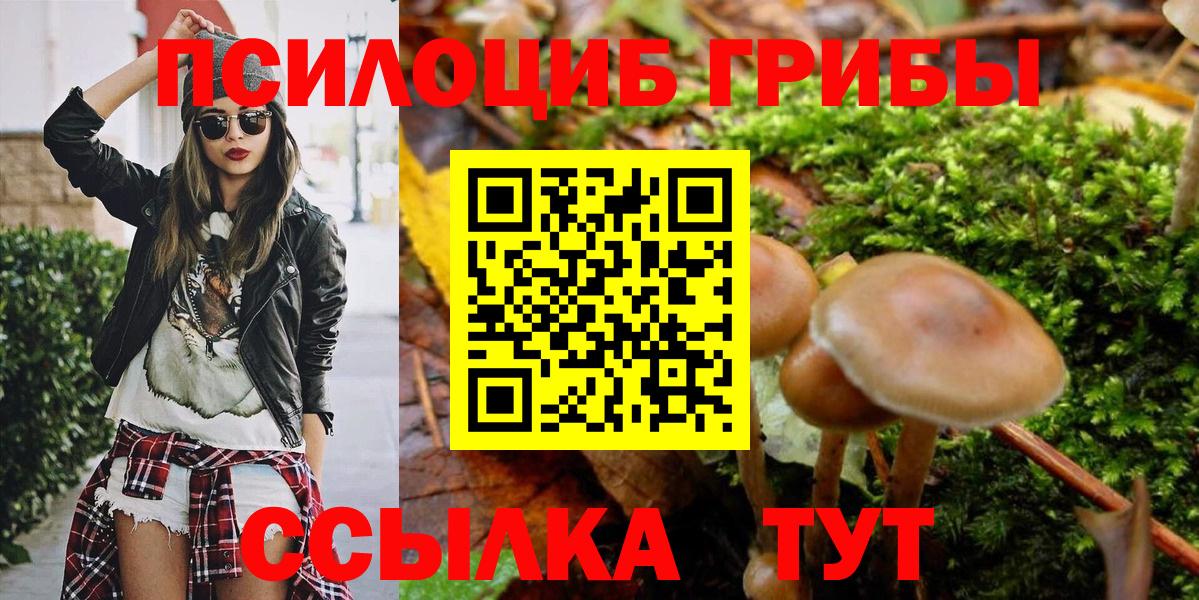 Псилоцибиновые грибы Magic Shrooms Губкин
