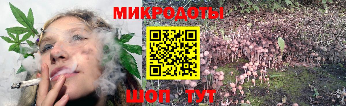 Псилоцибиновые грибы GOLDEN TEACHER  цена наркотик  Губкин  Вход с VPN 