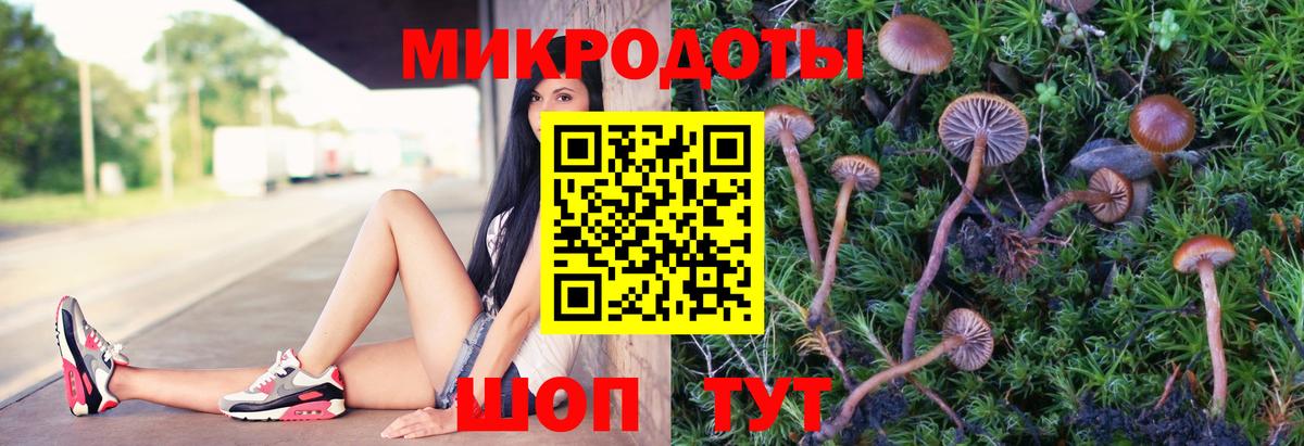 Псилоцибиновые грибы Psilocybe  Вход с VPN  Губкин  Галлюциногенные грибы мухоморы 