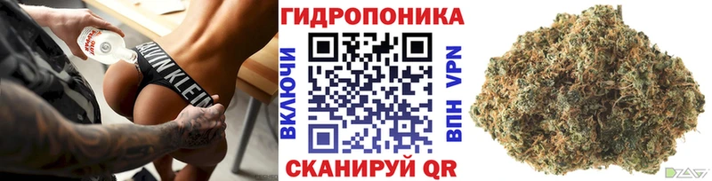 Конопля Amnesia  дарк нет какой сайт  Губкин 
